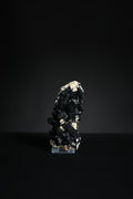 Black schorl tourmaline crystals from Namibia with deep lustrous surface and sharp terminations, front view