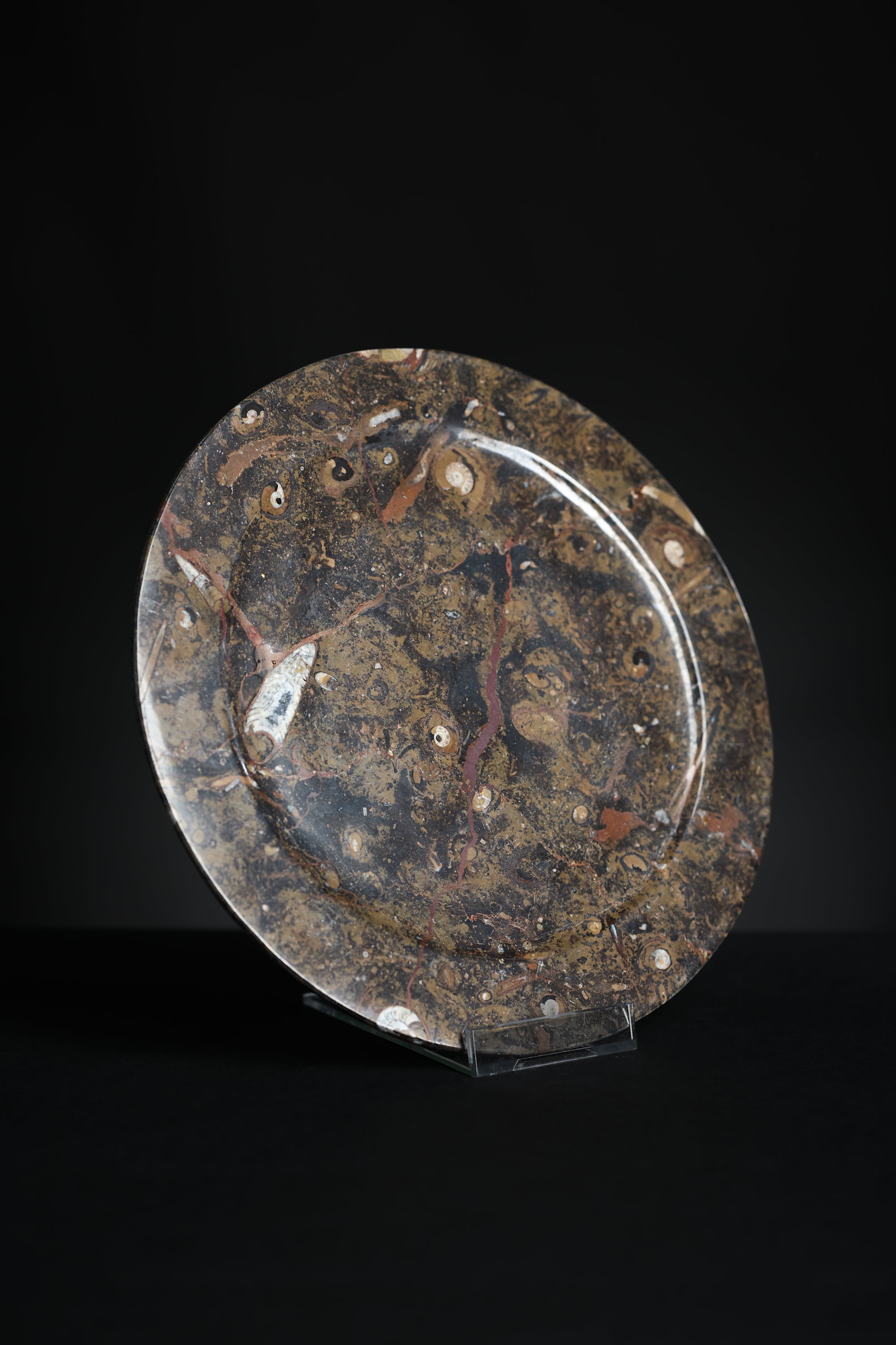 Fossil Stone Plate – Morocco