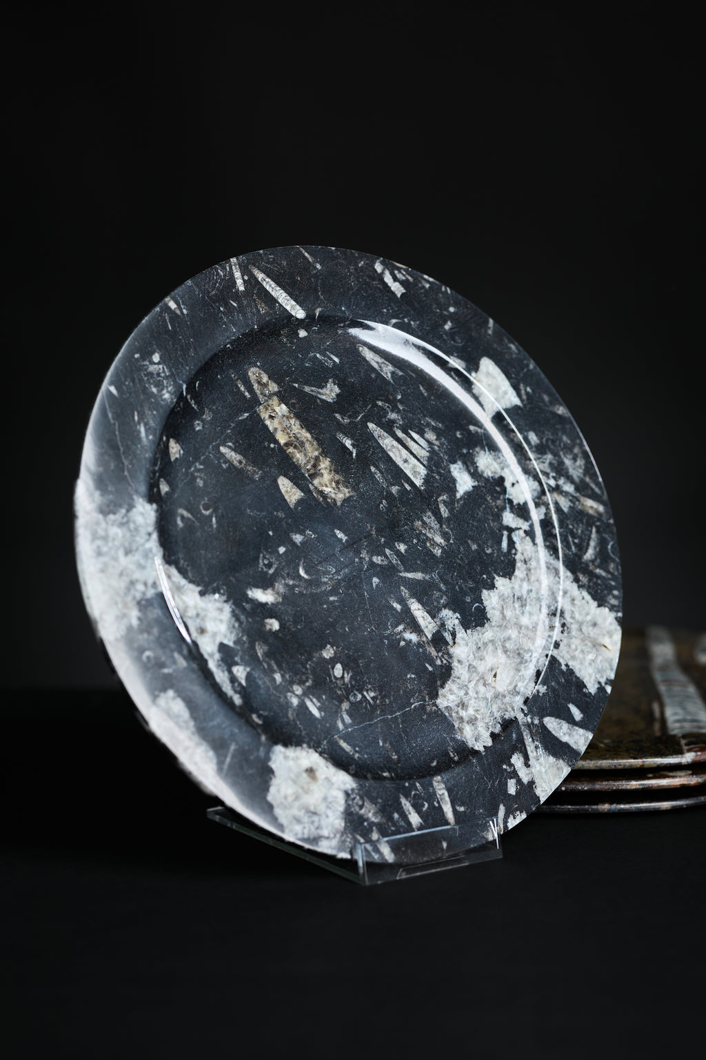 Fossil Stone Plate – Morocco